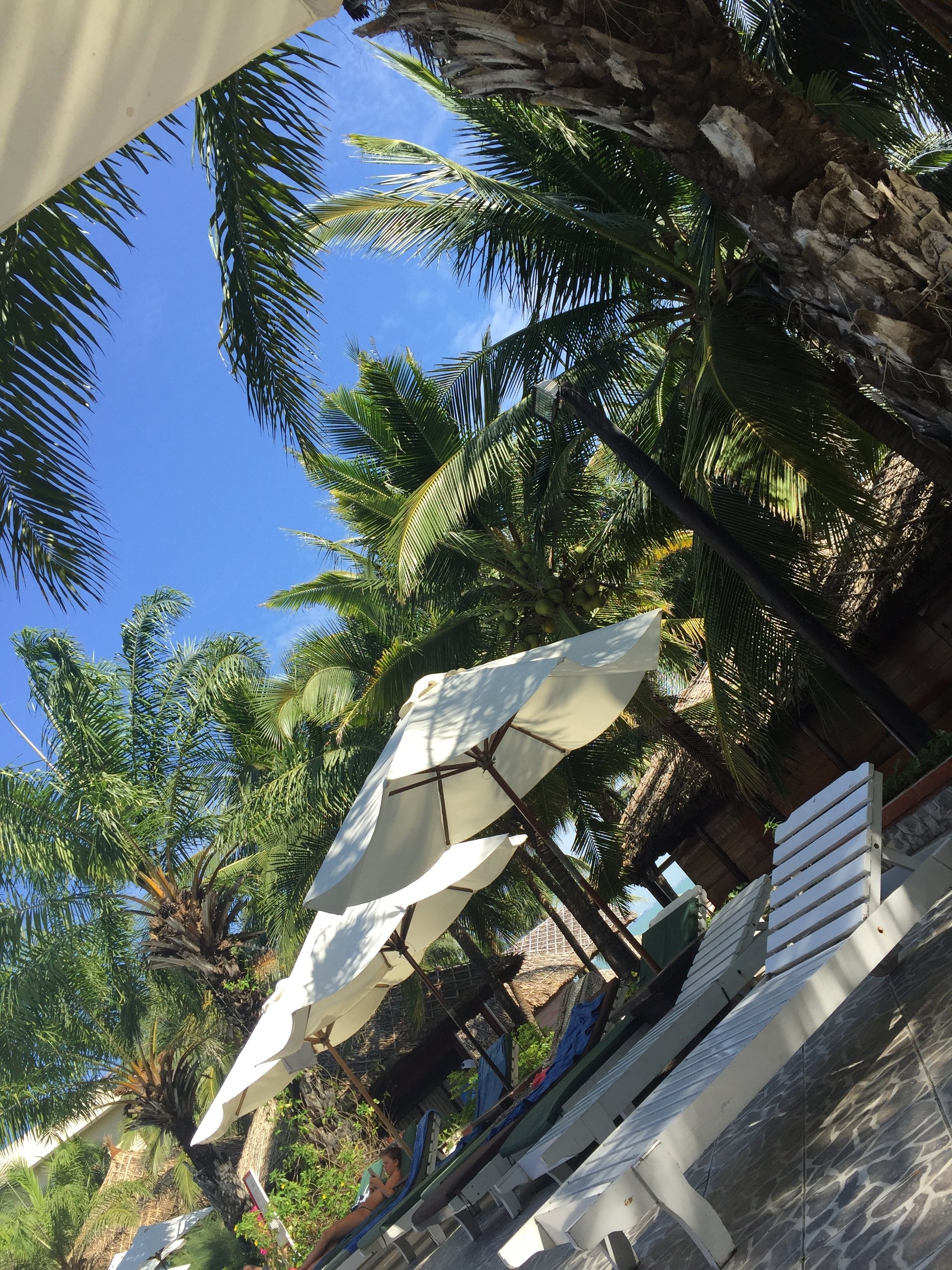 Отдых Вьетнам