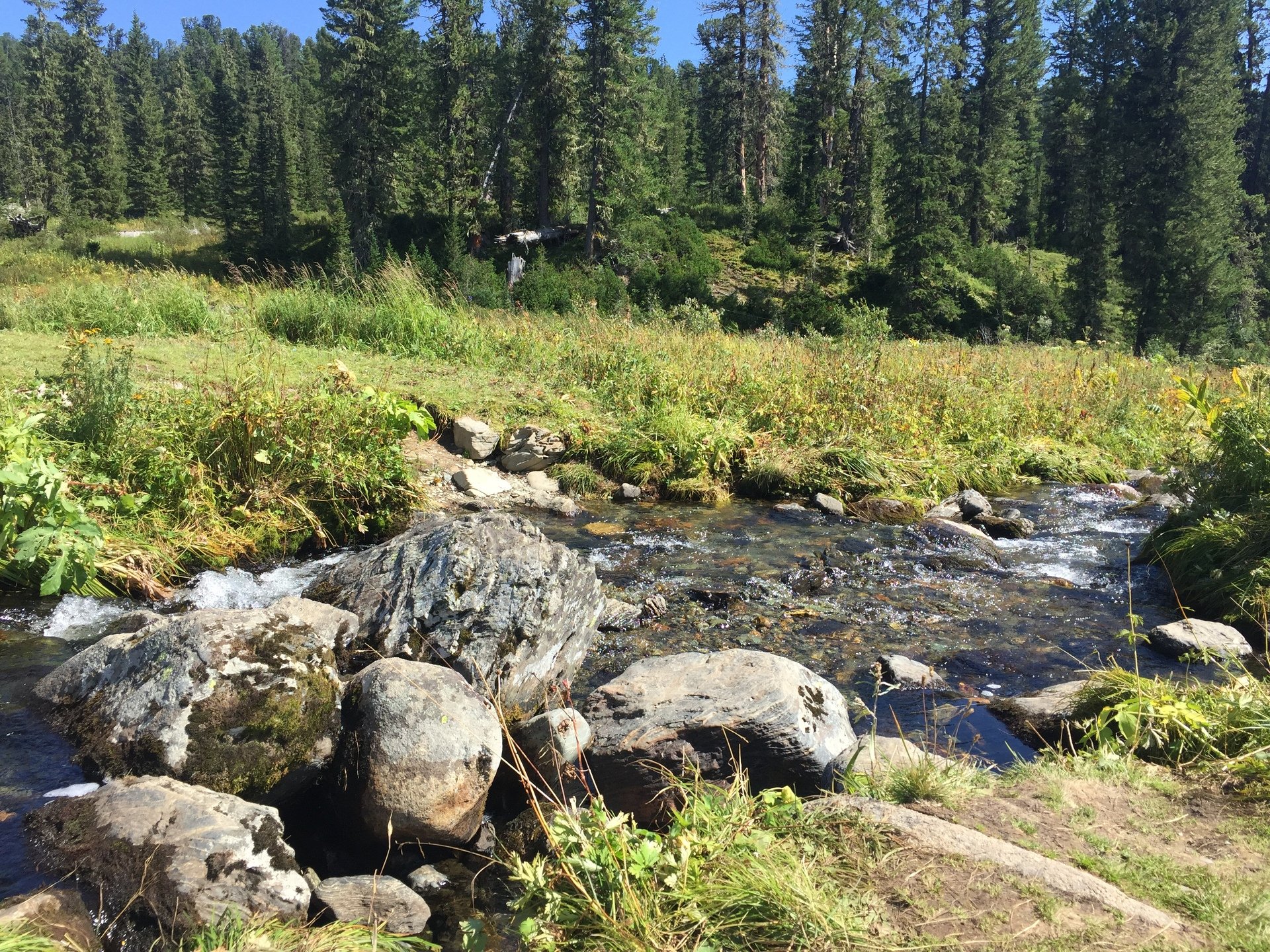Ергаки заповедник 