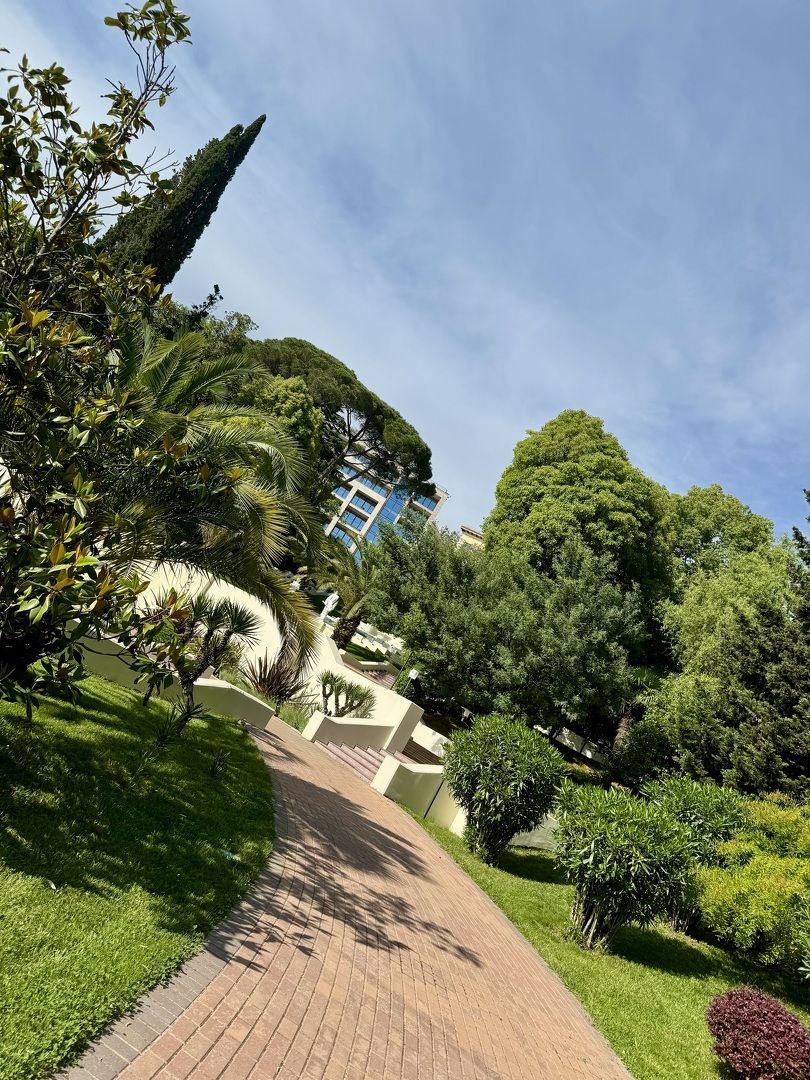 Отдых в Сочи