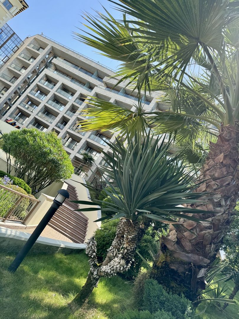 Отдых в Сочи