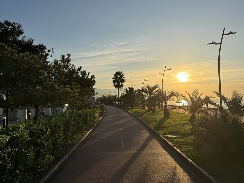 Туры в Сочи