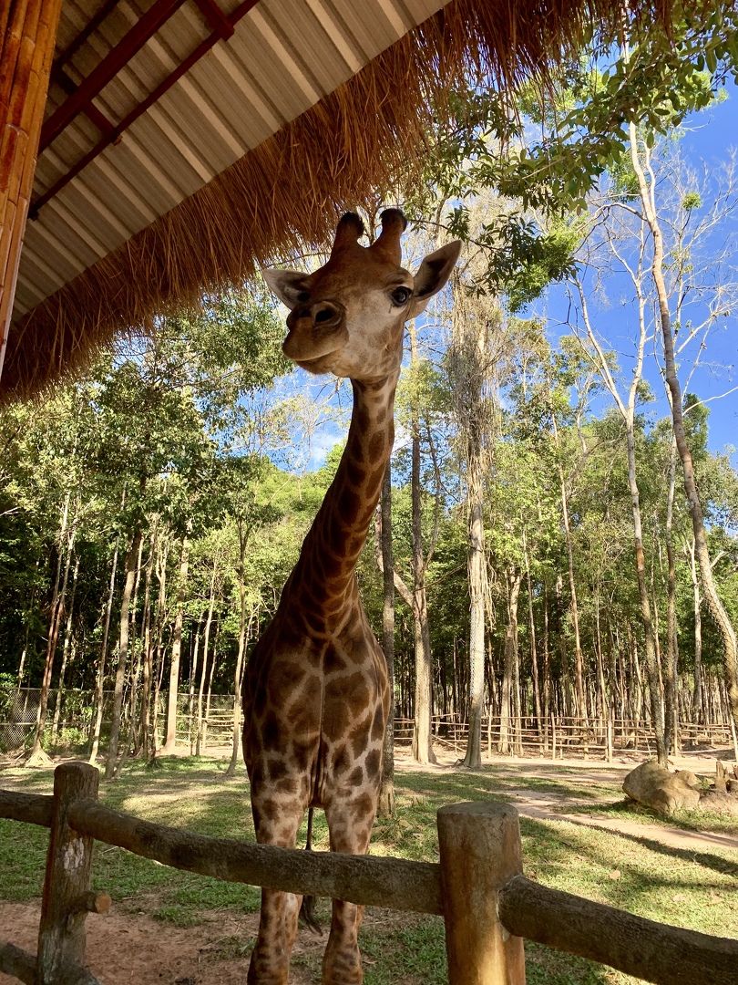 Авторские туры