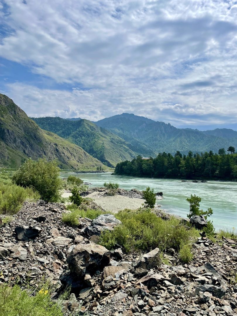 туры на алтай