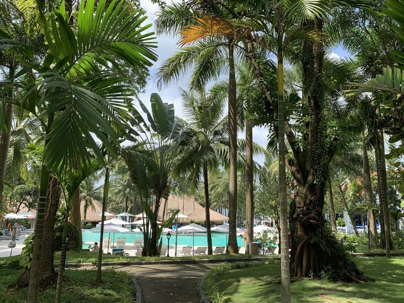 Вьетнам из Барнаула